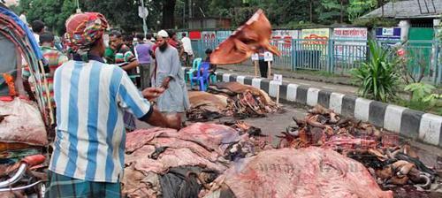 孟加拉国皮革制造产业低迷急需进出口刺激 孟加拉国皮革制造产业低迷急需进出口刺激